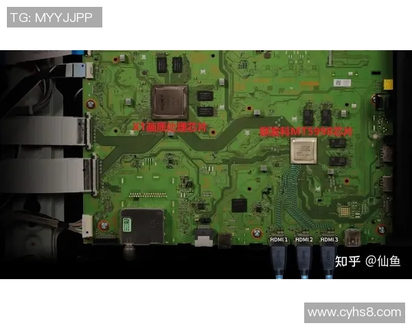 攀岩装备选购指南:如何选择适合自己的攀岩鞋推荐